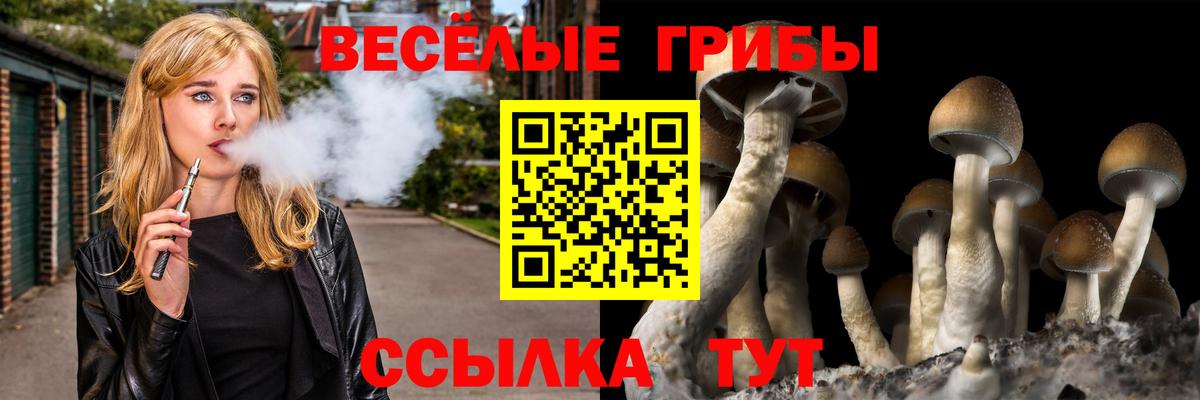 Псилоцибиновые грибы GOLDEN TEACHER Кушва